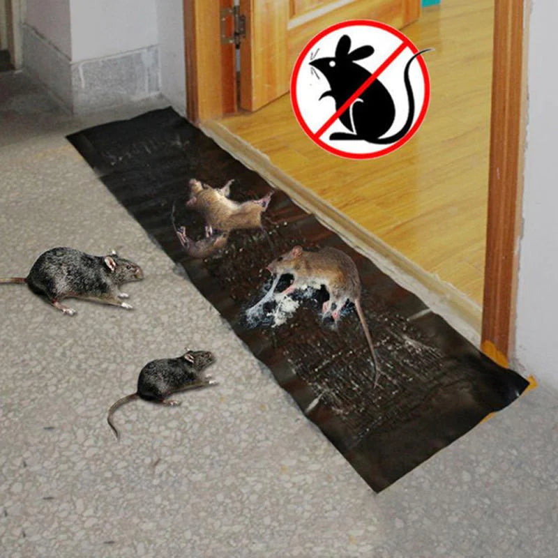 Rat-killing Magic Carpet
